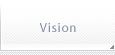 Vision